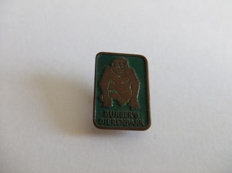 Burgers Dierenpark Arnhem gorilla groen